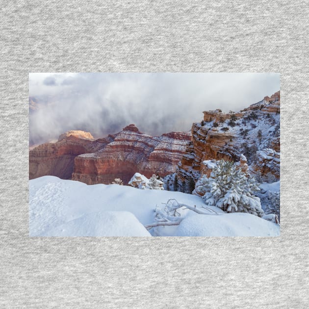 Grand Canyon Winter by jvnimages